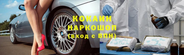 прущие грибы Михайлов
