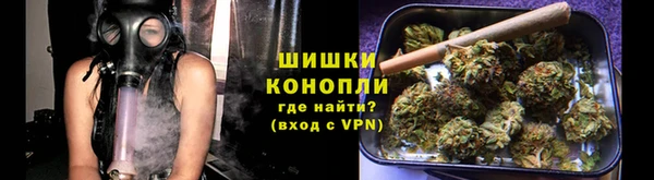 прущие грибы Михайлов