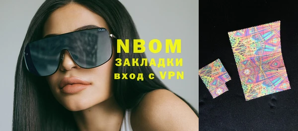 прущие грибы Михайлов