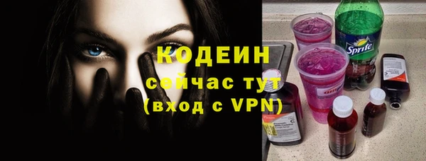 прущие грибы Михайлов