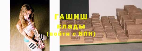 прущие грибы Михайлов