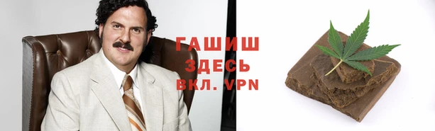 прущие грибы Михайлов