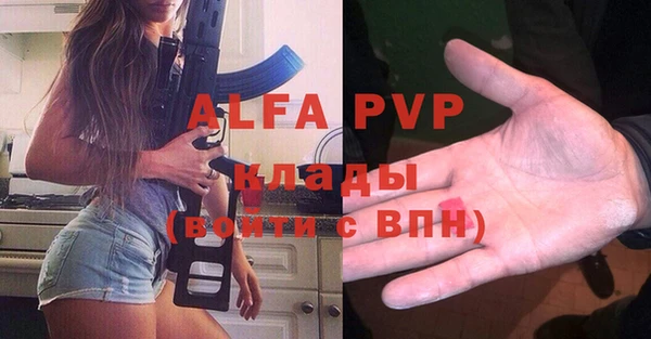 прущие грибы Михайлов