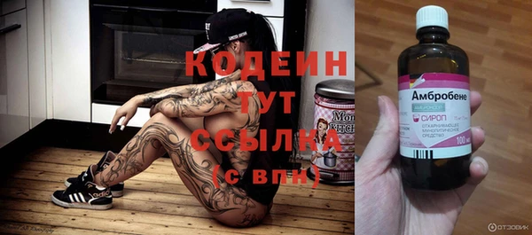 прущие грибы Михайлов