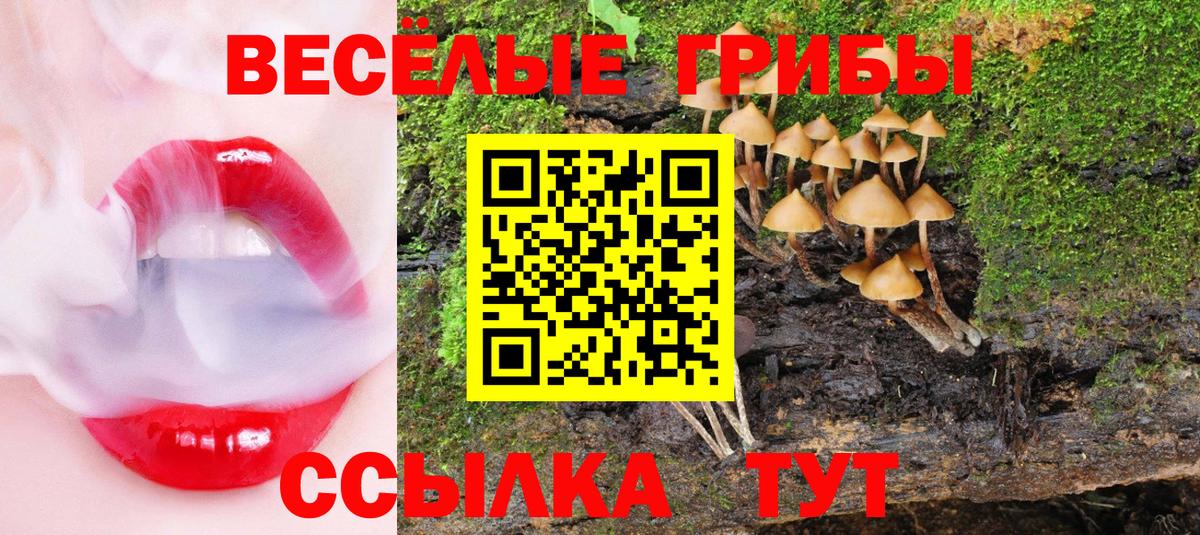 Галлюциногенные грибы прущие грибы  Вход с VPN  Псилоцибиновые грибы Magic Shrooms  Тюмень 