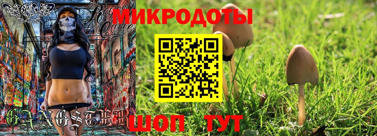 Галлюциногенные грибы прущие грибы Тюмень